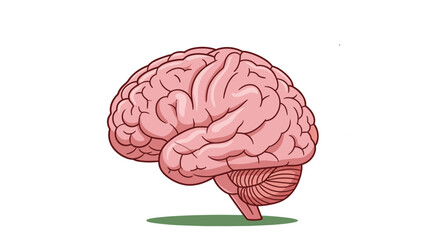 Human Brain Anatomy Infographic with Icons - Creative Intelligence Concept, Isolated on transparent background. Neural Network, Cognitive Function Design