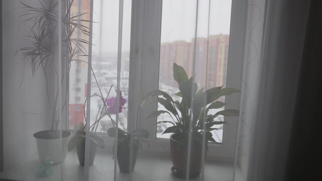 View fron kitchen