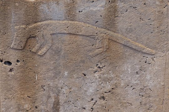 Gobekli Tepe neolithic archaeological site dating from 10 millennium BC, Massive stone pillars with sculptural relief of wild animals, Potbelly Hill, Sanliurfa, Turkey