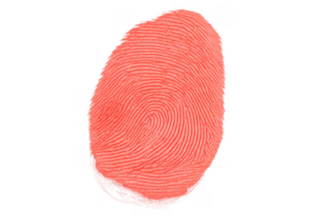 Human fingerprint showing unique biometric identity for security, privacy, and forensic authentication in a creative pink tone