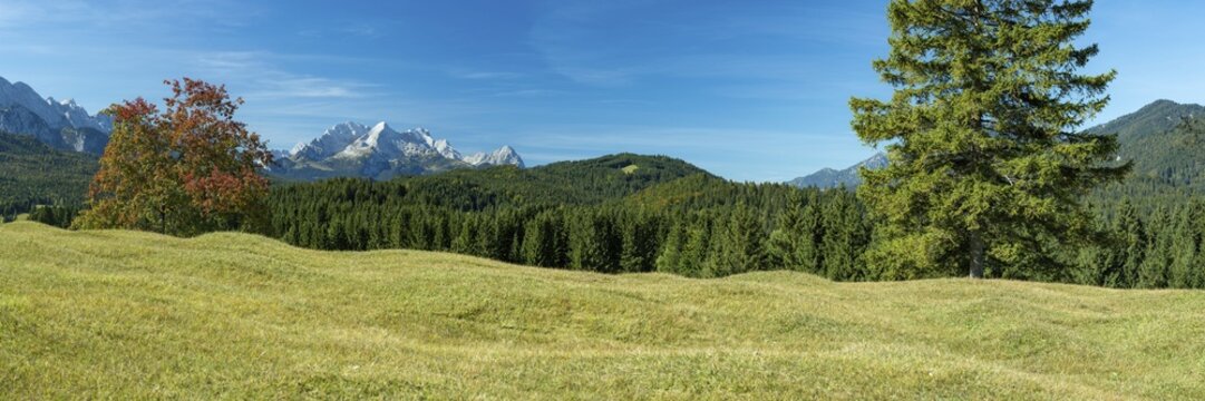 Humpback meadows between Mittenwald and Kr&uuml;n, Werdenfelser Land, behind it the Zugspitze, 2962m, Wetterstein Mountains, Upper Bavaria, Bavaria