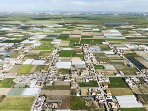 The semi rural district of La Algaida with its cultivated fields next to Sanl&uacute;car de Barrameda. Aerial view. Drone shot. C&aacute;diz province, Andalusia, Spain