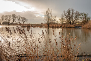 Backlit photo of a small lake at the end of a winter day. In the foreground are yellowed reed plumes, and in the background, silhouettes of trees with bare branches contrast with the cloudy sky.