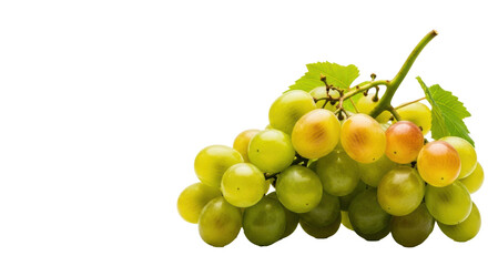 Fresh, plump bunch of ripe green grapes with green-yellow hues, smooth dewy skin, woody stem and leaves, against a bright white studio background with copy space, concept of natural abundance and