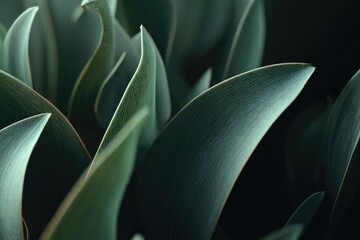Close-up of green, overlapping foliage with varying tones and textures, dark background