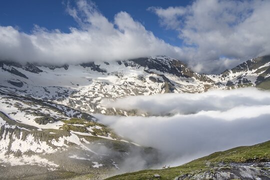Two sheep on a mountain meadow in front of a mountain landscape, high fog in the valley, behind mountain peak Dosso Largo and glacier Schlegeiskees, Berliner H&ouml;henweg, Zillertal Alps, Tyrol, Austria