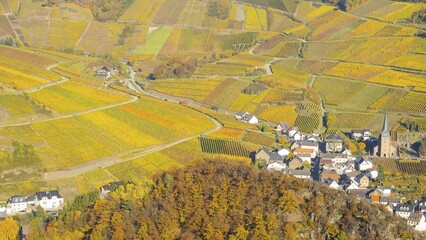 Vineyards in autumn, Mayschoß with parish church, red wine growing region Ahrtal, red wine of the Pinot Noir and Portugieser grape is grown here, Eifel, Rhineland-Palatinate, Germany