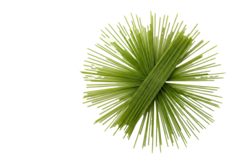 Vivid green, uncooked spaghetti noodles in a dynamic starburst pattern, flat lay on a transparent background with copy space, soft studio light, Italian food ingredient concept