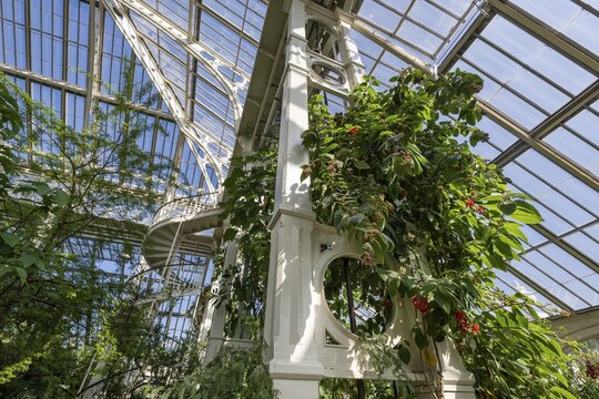 Pillars, Temperate House, largest Victorian greenhouse in the world, Royal Botanic Gardens (Kew Gardens), UNESCO World Heritage Site, Kew, Greater London, England, United Kingdom