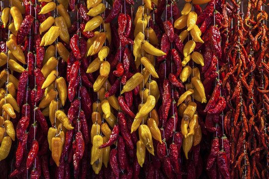 Dried chilli peppers (Capsicum), indoor market, Mercado dos Lavradores, Funchal, Madeira, Portugal