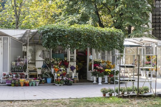 Flower shop, Rousse, Bulgaria