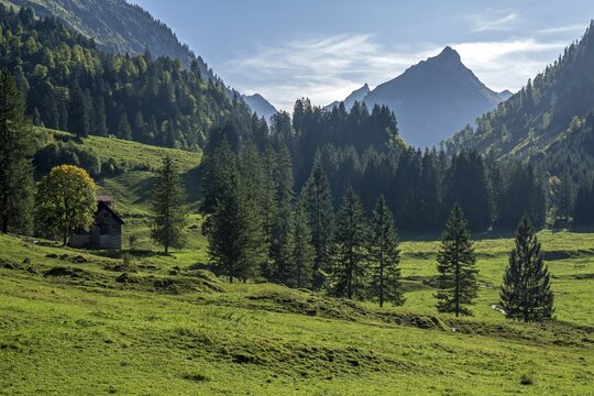 Hintersteiner Tal, Bad Hindelang, Upper Allg&auml;u, Allg&auml;u, Bavaria, Germany