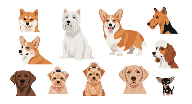 Detailed set of various dog breed portraits includes the shiba inu westie corgi beagle labrador and chihuahua among others.