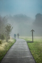 Nebelstimmung im Schwarzem Moor in der Bayrischen Rh&ouml;n