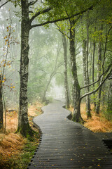 Nebelstimmung im Schwarzem Moor in der Bayrischen Rh&ouml;n