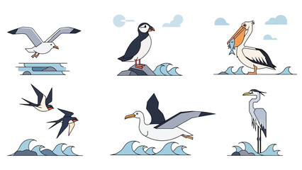 Seabirds Collection: Flying Seagull, Puffin, Pelican, Swallows, Albatross, Heron
