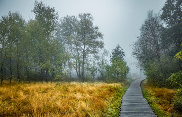 Nebelstimmung im Schwarzem Moor in der Bayrischen Rh&ouml;n