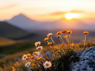Wildflowers in foreground with vibrant sunset over distant peaks, springtime energy