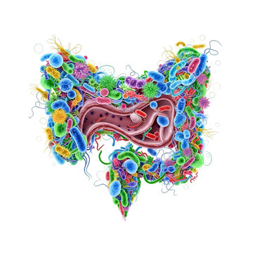 Vibrant microbiome illustration with diverse bacteria and microorganisms