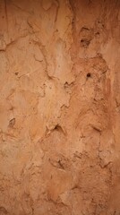 Textured Earthy Surface with Natural Tone in Warm Hues and Patterns