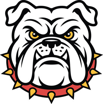 Fierce bulldog head with spiked collar illustration