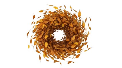 Whirling vortex formed by falling autumn leaves in circular pattern on clean white backdrop