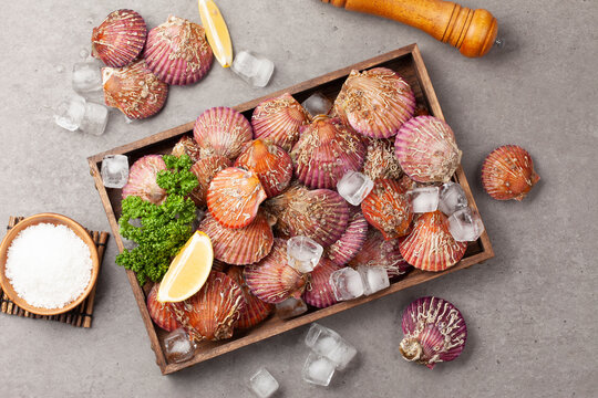 가리비는 가리빗과와 큰집가리빗과의 조개를 통틀어 이르는 말.
Scallop is a general term for shellfish of the scallop family and the scallop family.

