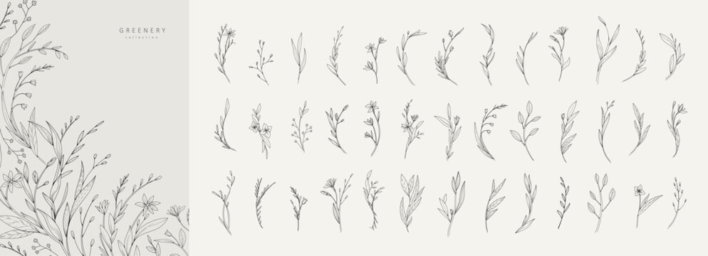 Delicate botanical minimalistic branches with flowers and leaves. Set of floral design elements. Vector illustration for invitation, save the date card