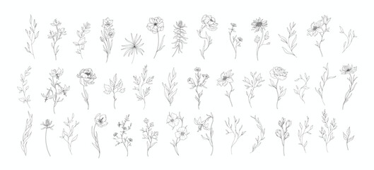 Set of detailed various flowers and branch with editable stroke. Hand drawn vector illustration, botanical elements for invitation, save the date