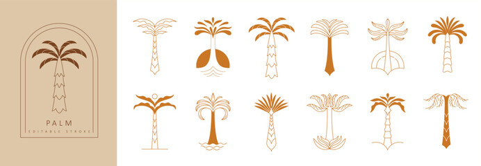 Set of simple geometric palm tree icon or logo designs. Summer tropical design elements and vacation emblems for resort, travel and beauty