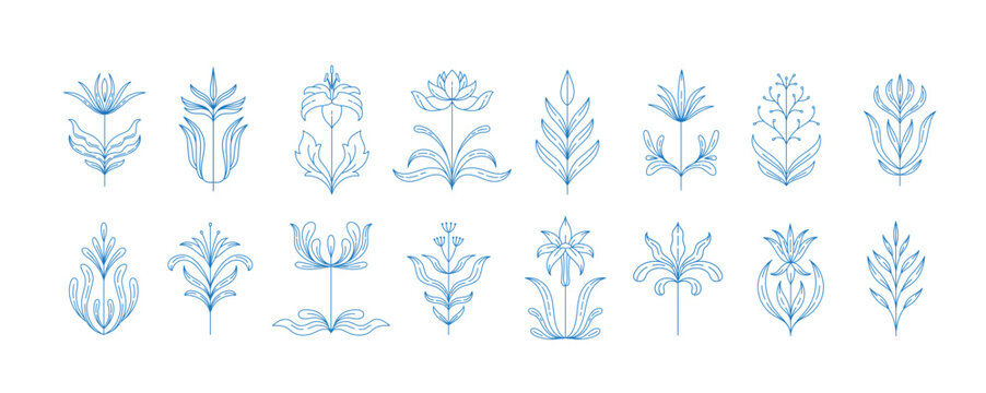 Set of boho simple geometric branch and flowers. Botanic design elements in wavy and vintage style. Leaves and branches print for logo, social media or packaging