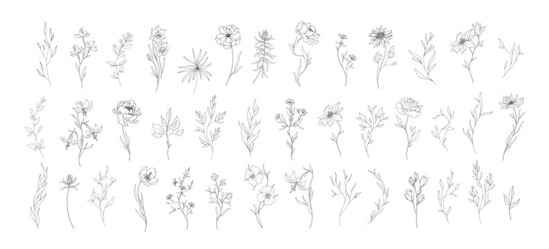 Set of detailed various flowers and branch with editable stroke. Hand drawn vector illustration, botanical elements for invitation, save the date