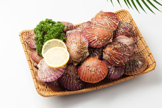 가리비는 가리빗과와 큰집가리빗과의 조개를 통틀어 이르는 말.
Scallop is a general term for shellfish of the scallop family and the scallop family.

