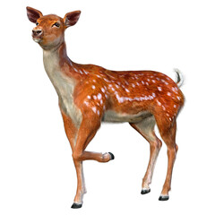 3D Rendering Deer on White