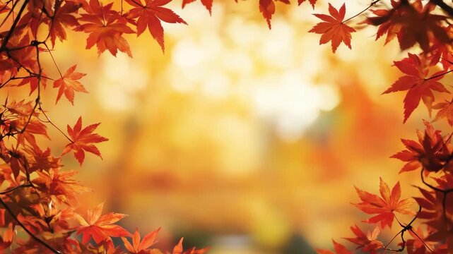 Autumn maple leaves frame on a blurred gold background. Fall season foliage border for marketing and seasonal designs.