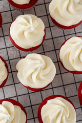 Red velvet cupcakes with cream cheese frosting and red sugar hearts. Delicious dessert for Valentines day. Selective focus, copy space.