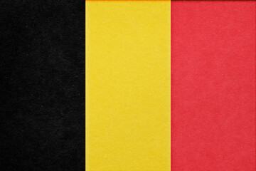 Fototapeta premium Papercraft PSD effect photoshop add-on paper cut out style