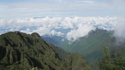 Naklejka premium Cloud Ocean Surrounding Jagged Green Peaks
