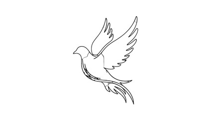 Fototapeta premium Elegant Flying Dove Line Art, Isolated White Background