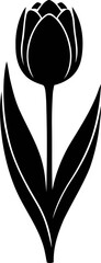 Silhouette of tulip flower with long leaves isolated vector illustration.