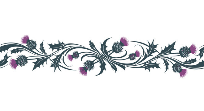 Elegant seamless border design featuring a traditional Scottish thistle pattern with intricate, swirling leaves on a white background.
