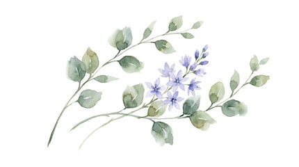 Beautiful watercolor illustration of delicate blue flowers and green leaves on a white background perfect for nature themed projects and botanical designs