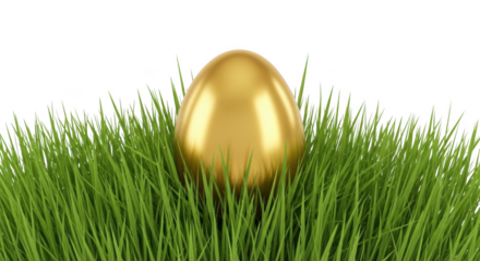 Golden egg nestled in lush green grass against a black background image