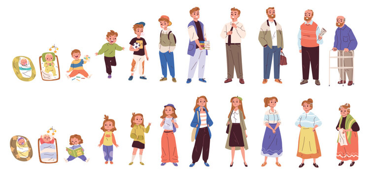 Human life cycle. Different ages people, man woman growth stages newborn to old young adult generation lifetime age process person development characters classy vector illustration