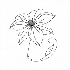 Outline of a flower with flowing lines and elegant design  