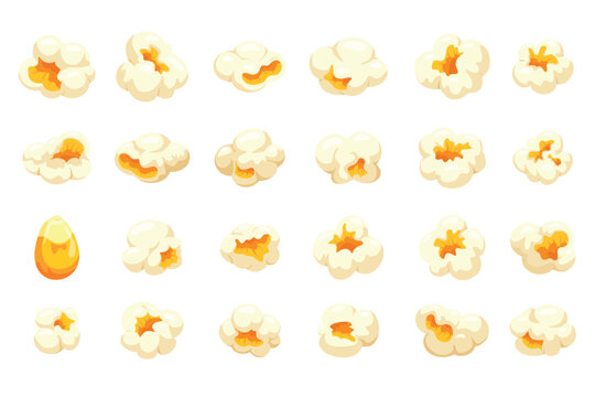 Popcorn kernels. Pop corn kernel close up, sweet salt holiday snack cinema theater tv entertainment food maize snacks shapes popping cornes cartoon set kicky vector illustration