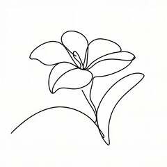 Minimalist line drawing of a flower with elegant curves  