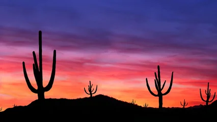 Fototapeten Coral American desert landscape with cactus plants, sandy terrain and distant mountains under a colorful sky, representing the arid environment of the southwestern United States.  © anes