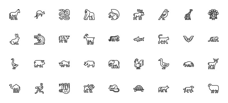 Animals icon set. Minimal vector wildlife collection featuring horse, kangaroo, snake, gorilla, squirrel, moose, bird, giraffe, rabbit, crocodile, tiger, shark, cat, lion, dog and more.