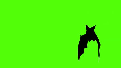 Creepy silhouette of a bat flapping wings on green screen background, loopable animation for Halloween visuals, horror effects, scary overlays, animal motion, and spooky themed projects, 4K.